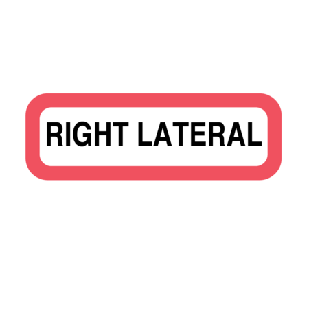 Position Labels - Right Lateral 1/2"" x 1-1/2"" White w/Red & Black -  NEVS, XP-620